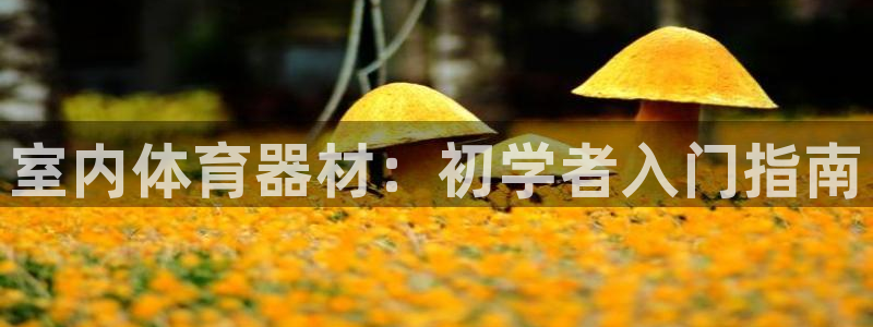 极悦官网首页登录入口：室内体育器材：初学者入门指南