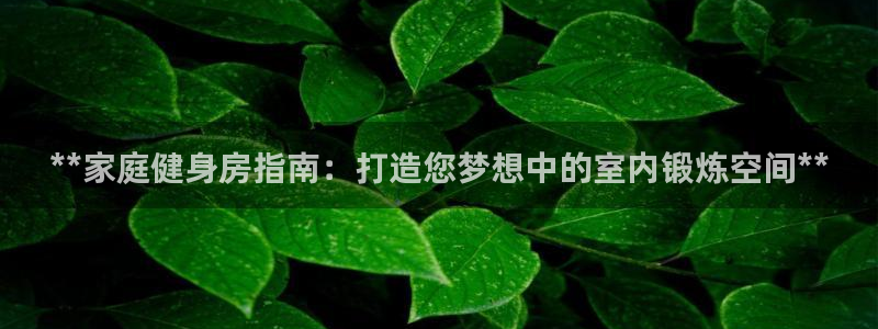 极悦平台客服投诉电话是多少号：**家庭健身房指南：打造您梦想