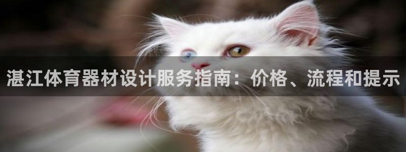 极悦平台登录不进去怎么回事儿：湛江体育器材设计服务指