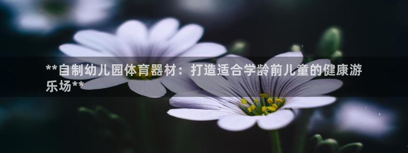 极悦平台登录最新版本更新内容在哪：**自制幼儿园体育