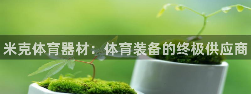 极悦平台与网易合作详情在哪：米克体育器材：体育装备的