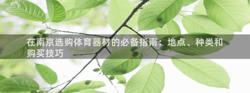 加盟极悦教育怎么样：在南京选购体育器材的必备指南：地