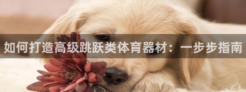 极悦平台是正规平台吗安全吗知乎：如何打造高级跳跃类体
