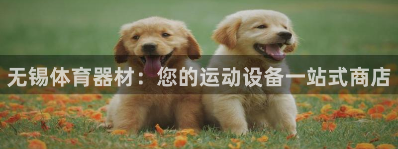 极悦娱乐会被骗吗是真的吗：无锡体育器材：您的运动设备