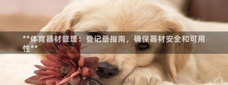 极悦平台官网登录入口下载：**体育器材管理：登记册指
