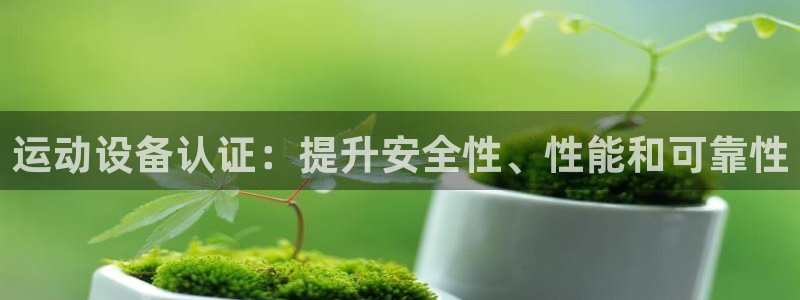 极悦平台是干什么的公司：运动设备认证：提升安全性、性