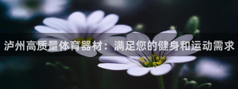 极悦娱乐游戏安全吗：泸州高质量体育器材：满足您的健身
