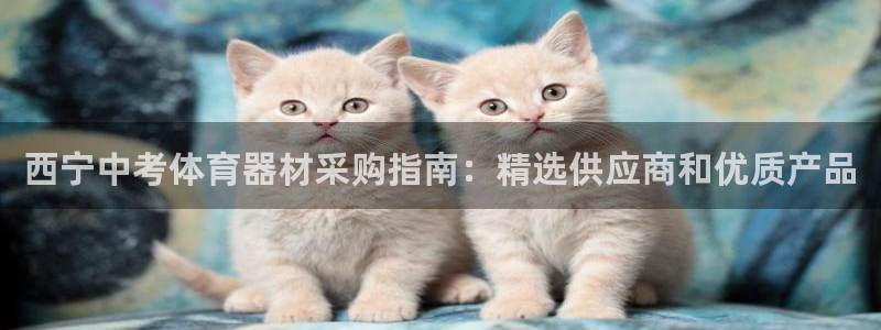 极悦平台平台登录入口：西宁中考体育器材采购指南：精选