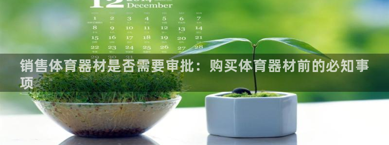 极悦平台用户评价与反馈：销售体育器材是否需要审批：购