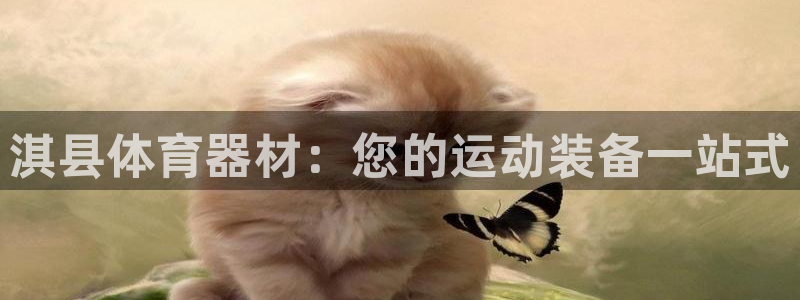 极悦平台客服团队怎么样：淇县体育器材：您的运动装备一站式