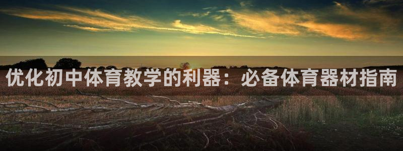 极悦平台代理：优化初中体育教学的利器：必备体育器材指