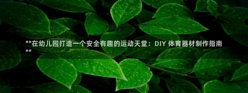 极悦平台注册流程图：**在幼儿园打造一个安全有趣的运