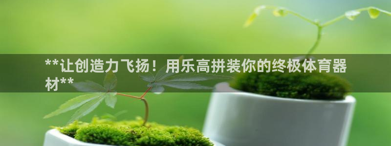 极悦平台使用注意事项：**让创造力飞扬！用乐高拼装你