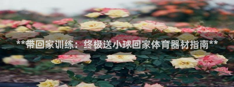 极悦生活家是什么平台的软件：**带回家训练：终极送小