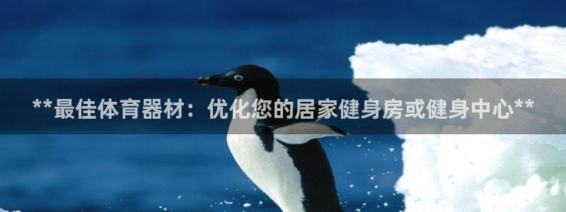 极悦平台客服团队怎么样：**最佳体育器材：优化您的居