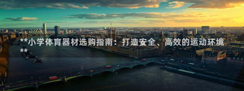 极悦娱乐app官方版本更新内容在哪：**小学体育器材