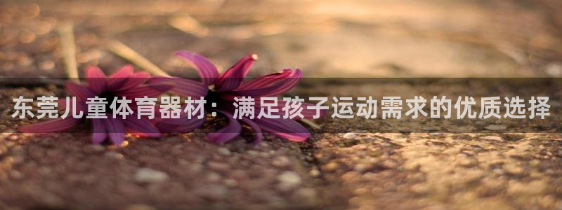 极悦平台是干什么的：东莞儿童体育器材：满足孩子运动需