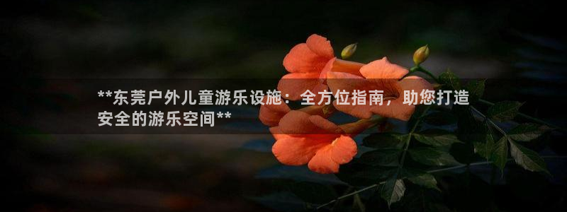 极悦娱乐官网最新版本更新内容：**东莞户外儿童游乐设