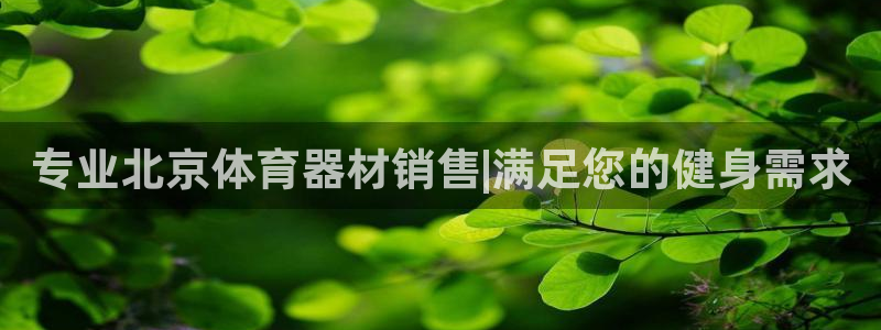 极悦平台登录方式怎么改：专业北京体育器材销售|满足您