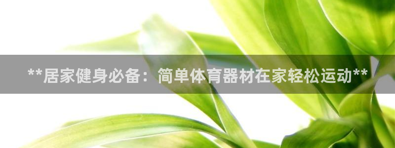 极悦平台注册用户名验证失败：**居家健身必备：简单体