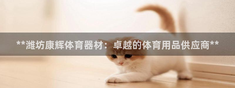 极悦平台注册官方网站下载安装手机版：**潍坊康辉体育
