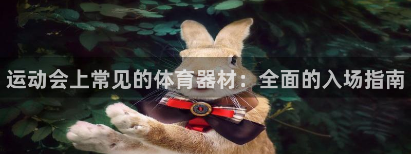 极悦平台官方网站首页：运动会上常见的体育器材：全面的