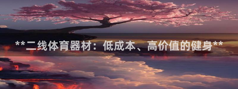 极悦生活家是什么平台的软件：**二线体育器材：低成本