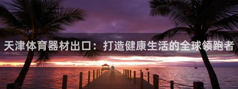 极悦娱乐官网客服联系方式查询：天津体育器材出口：打造健康生活