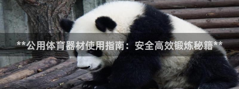 极悦娱乐代理人是谁：**公用体育器材使用指南：安全高