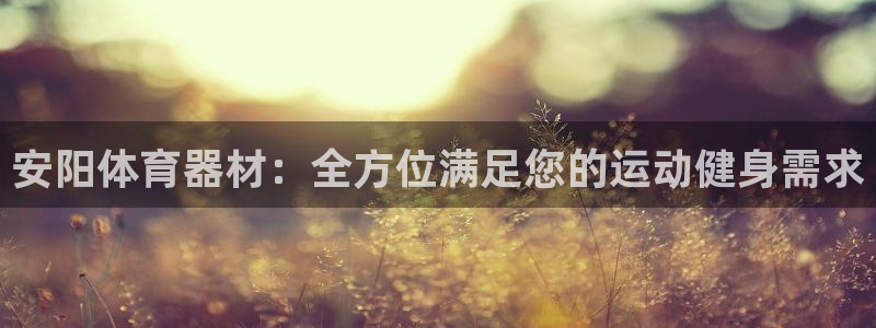 极悦平台用户评价与反馈：安阳体育器材：全方位满足您的