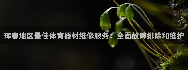 极悦平台使用教程视频：珲春地区最佳体育器材维修服务：全面故障