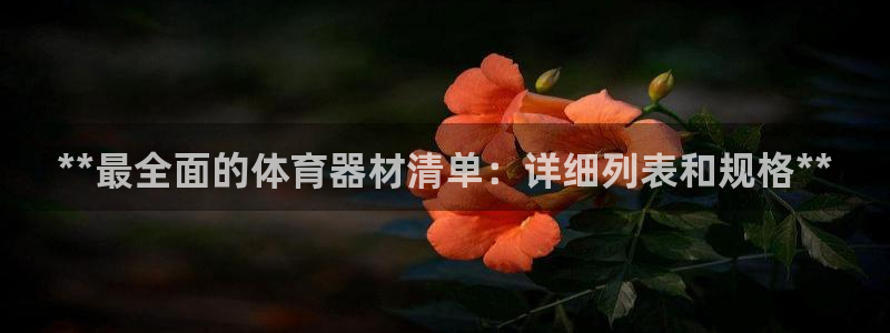 极悦平台用户反馈和反馈：**最全面的体育器材清单：详