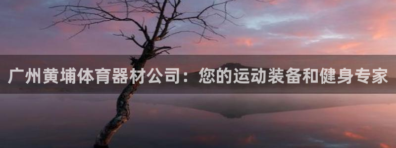 极悦平台股东：广州黄埔体育器材公司：您的运动装备和健