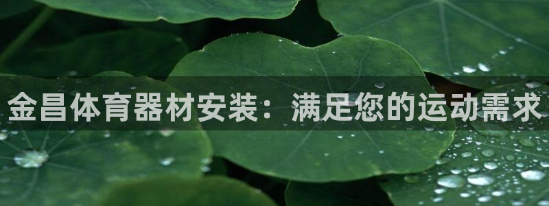 极悦平台登录入口注册：金昌体育器材安装：满足您的运动