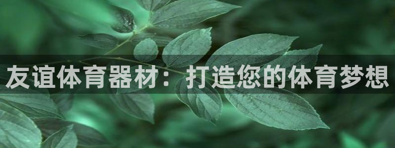 极悦官网注册最新版本更新内容：友谊体育器材：打造您的