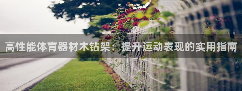极悦娱乐的背景和历史背景：高性能体育器材木钻架：提升