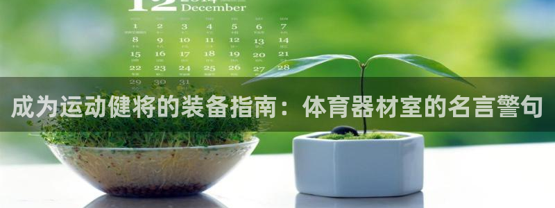 极悦平台是正规平台吗：成为运动健将的装备指南：体育器