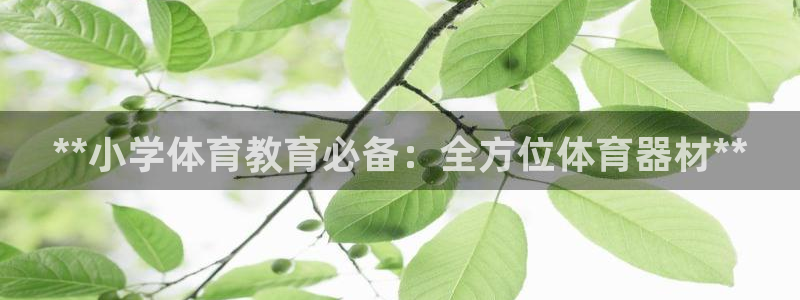 极悦官网注册最新版本更新内容：**小学体育教育必备：