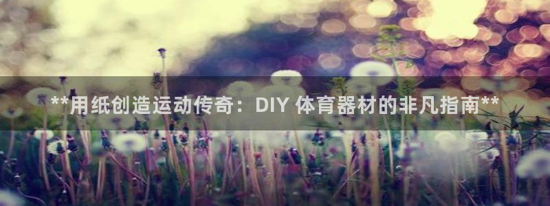 极悦平台创始人背景故事：**用纸创造运动传奇：DIY 体育器