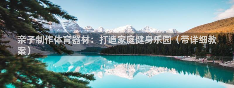极悦平台是正规平台吗安全吗可靠吗：亲子制作体育器材：打造家庭