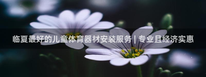 极悦娱乐官网最新版本更新内容下载：临夏最好的儿童体育器材安装