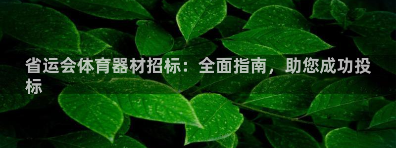极悦平台股东是谁：省运会体育器材招标：全面指南，助您