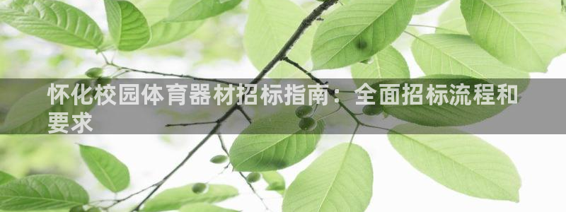 极悦平台客服的联系方式是什么：怀化校园体育器材招标指南：全面