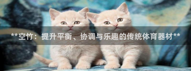 极悦平台登录不进去怎么回事呢：**空竹：提升平衡、协调与乐趣