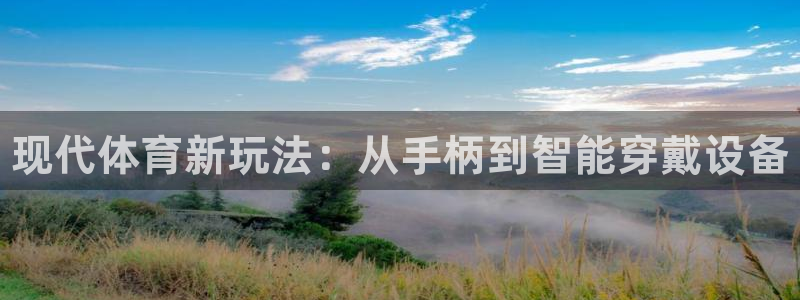 极悦平台用户评价与反馈