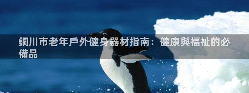 极悦官网旗舰店是正品吗：銅川市老年戶外健身器材指南：