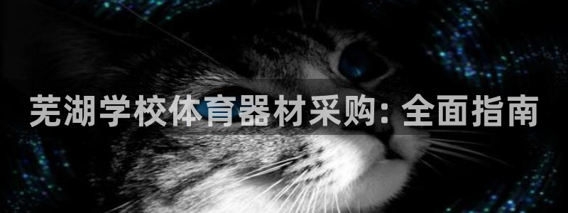 极悦平台注册流程详解视频：芜湖学校体育器材采购: 全面指南