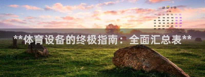 极悦平台创始人背景故事是什么：**体育设备的终极指南：全面汇