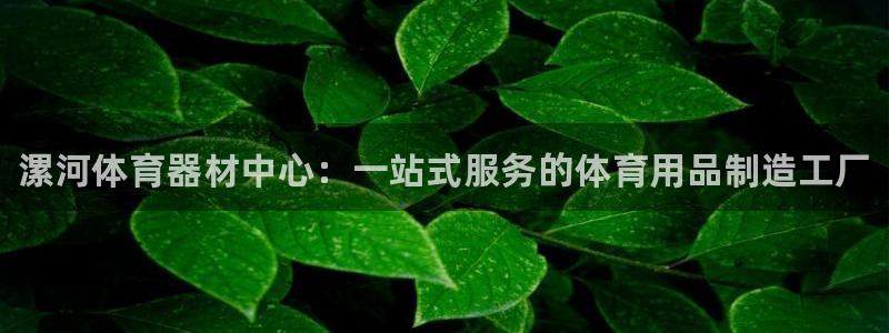 极悦娱乐官网app下载安装：漯河体育器材中心：一站式服务的体