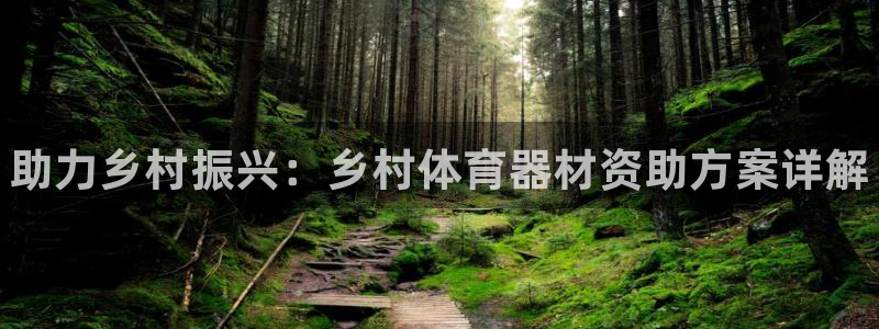 极悦娱乐公司最新招聘信息官网：助力乡村振兴：乡村体育器材资助